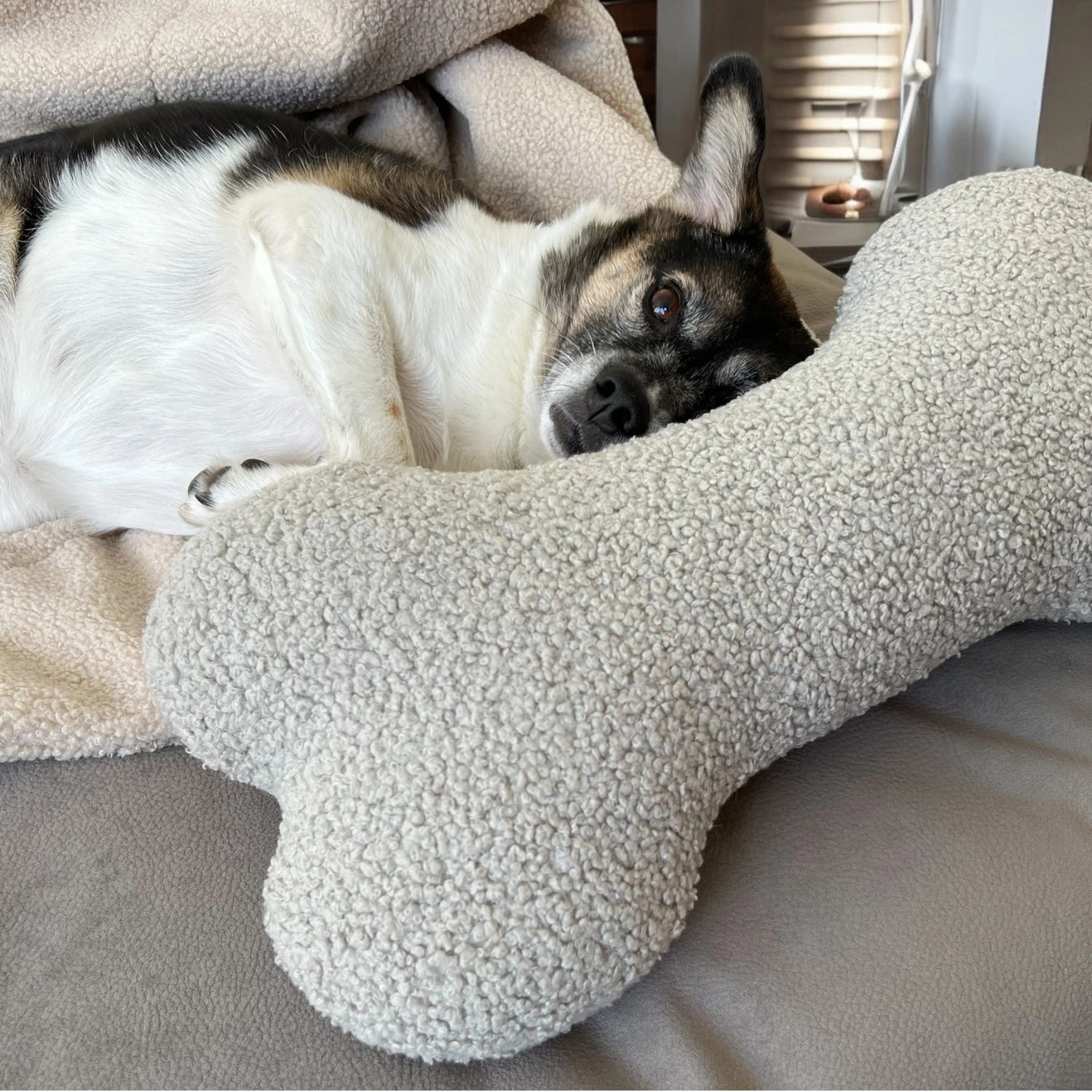 Großes Hundekissen in Knochenform aus Bouclé Stoff in hellgrau mit kleinem schwarz weißem Hund dahinter liegend