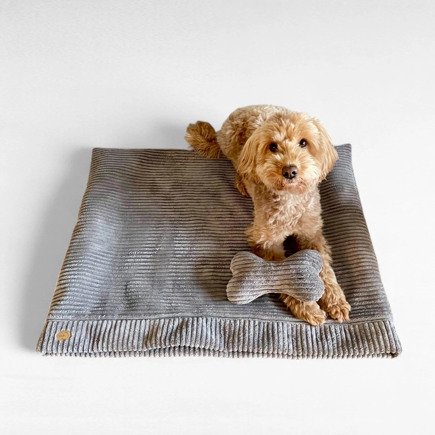 Hund auf grauem Hundeschlafsack aus Breitcord liegend, sowie mit einem Hundekissen ebenfalls aus grauem Breitcord