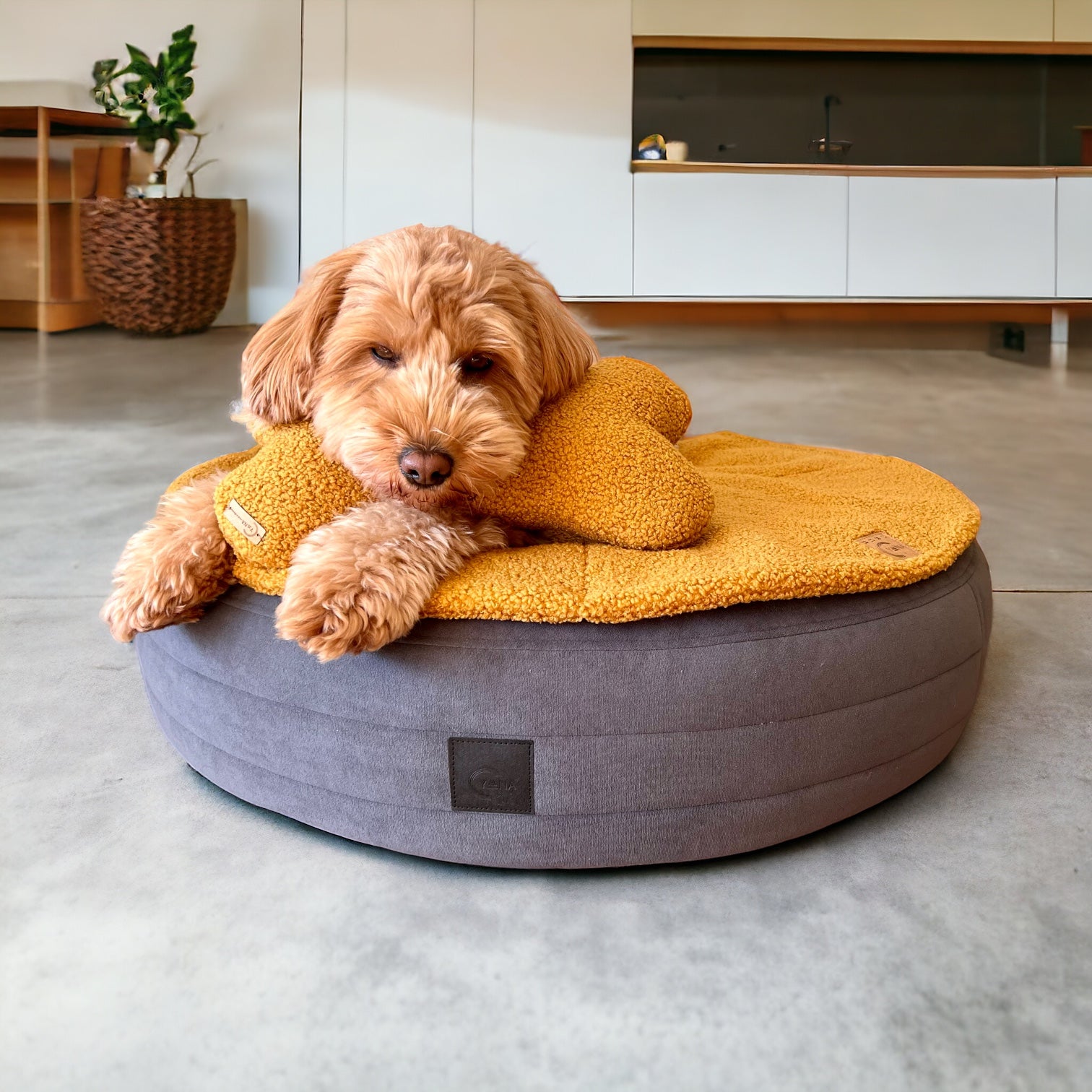 Hundedecke Hana | Cuddly Teddy