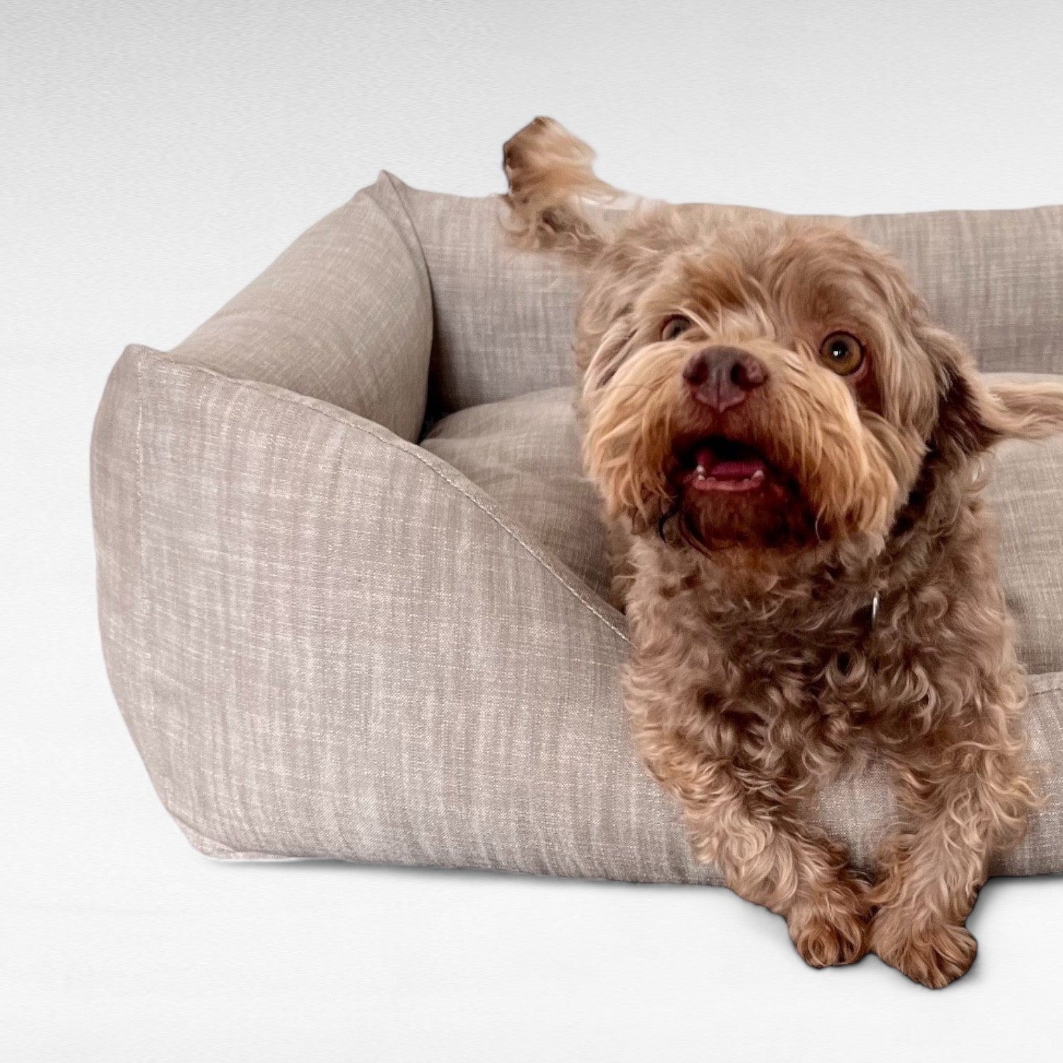 Hundebett Ema | Cottolino Deluxe