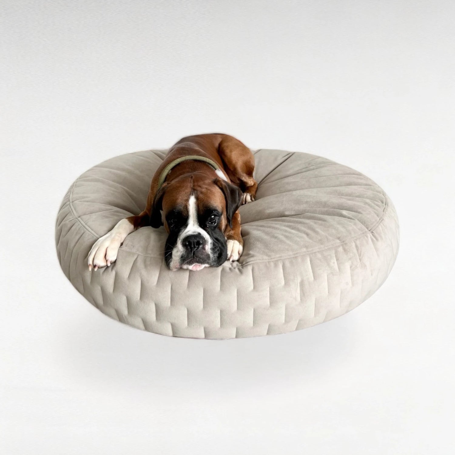 Rundes orthopädisches Hundebett in Farbe greige aus Veloursstoff mit seitlicher Designsteppung und Boxer daraufliegend