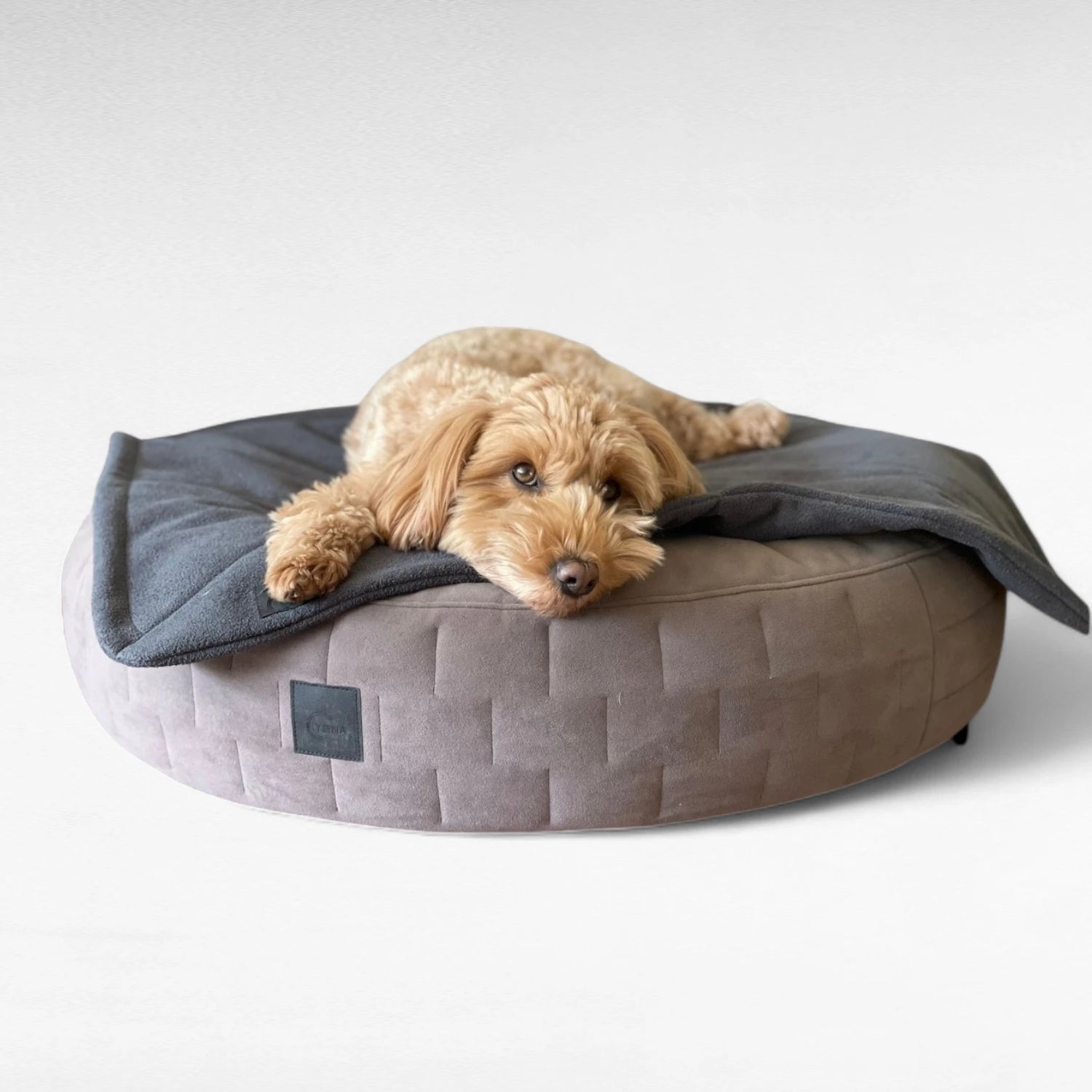 Rundes orthopädisches Hundebett in Farbe taupe aus Veloursstoff mit seitlicher Designsteppung und anthazitfarbener Decke mit Doodle daraufliegend