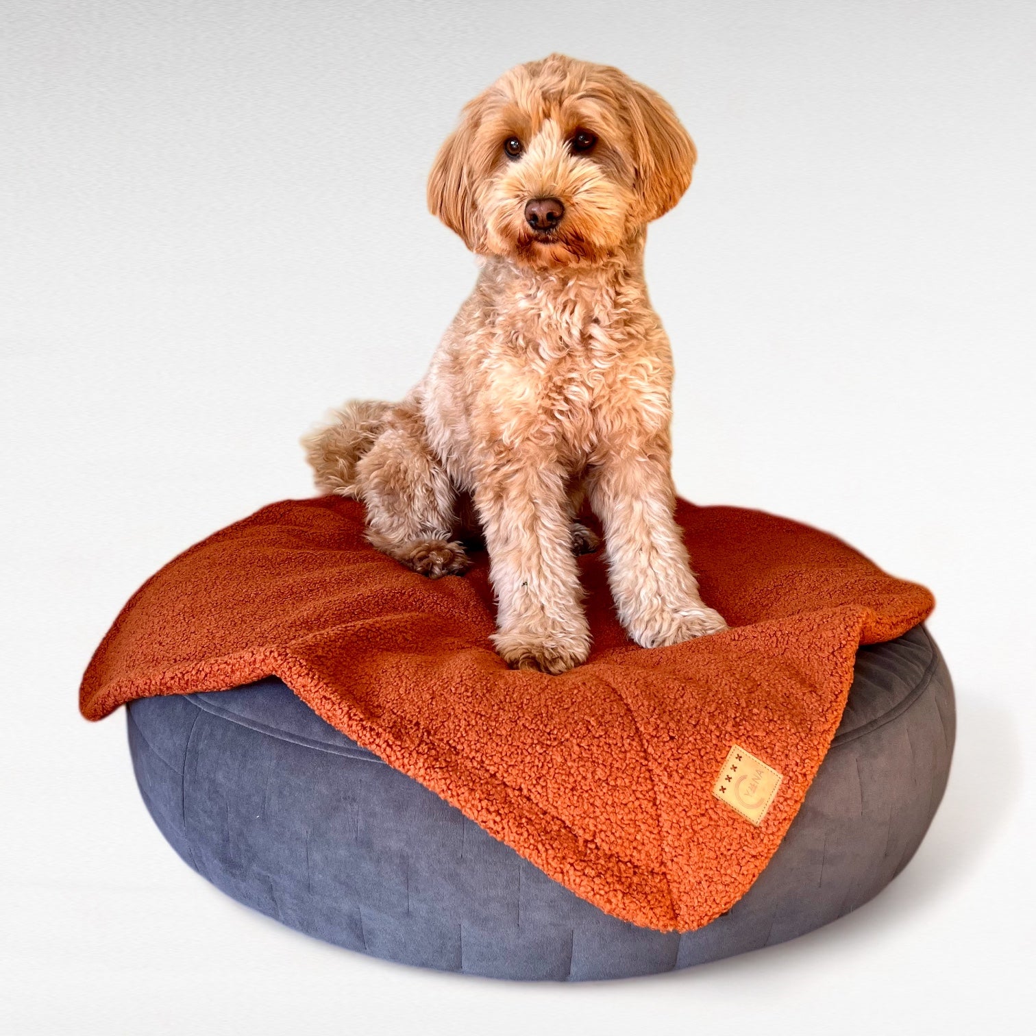 Hundedecke Umi | Cuddly Teddy