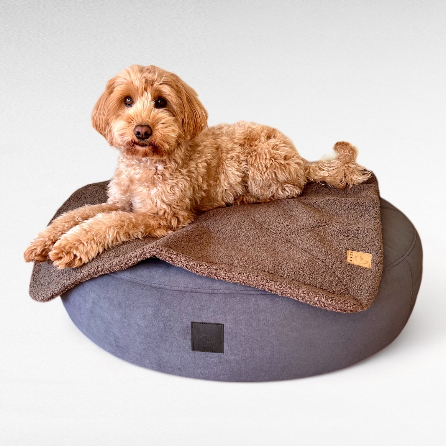 Hundedecke Umi | Cuddly Teddy