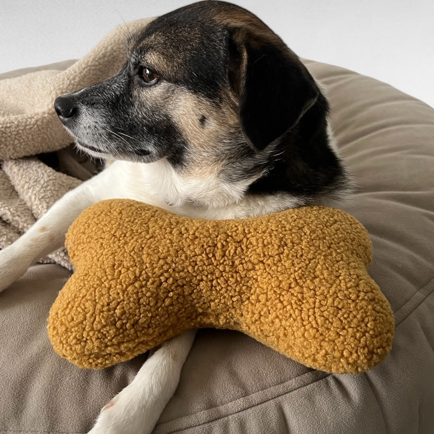 Kleines Hundekissen Hone | Cuddly Teddy