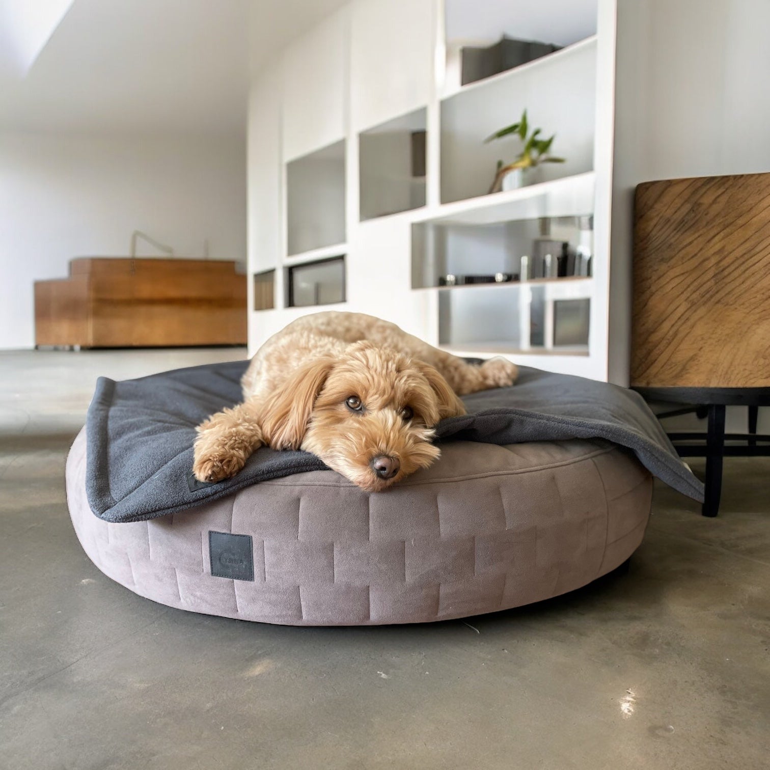 Hundedecke Sumi | Cozy Terry