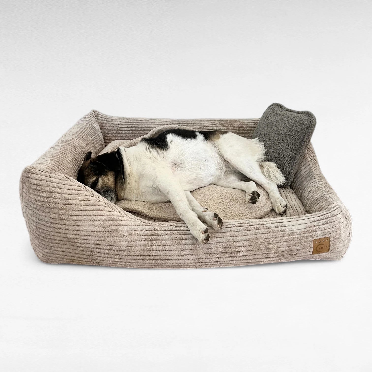 Hund liegt entspannt in Hundebett mit Rand aus Breitcord in beige