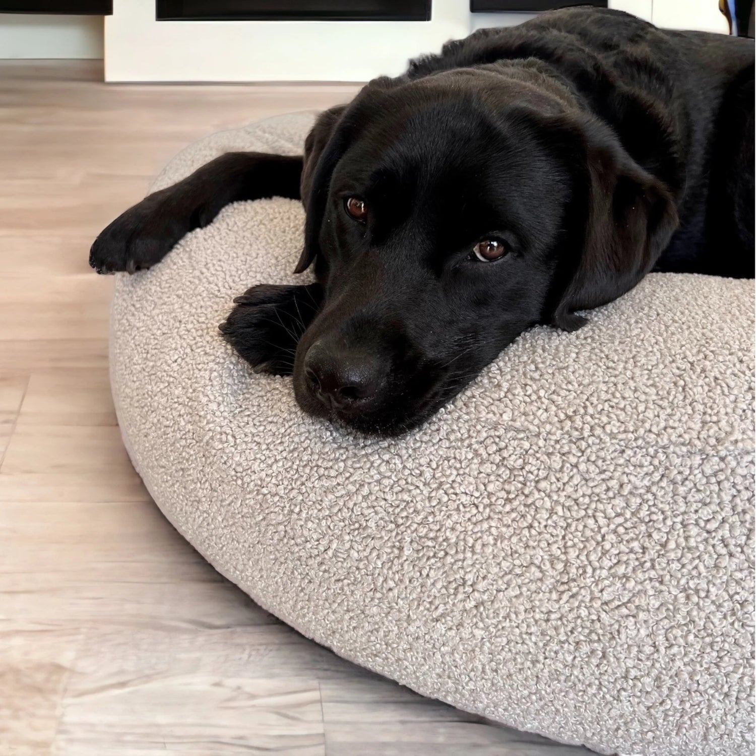 Hellgraues rundes Hundebett aus Premium Bouclé-Stoff mit Hund in Wohnzimmer