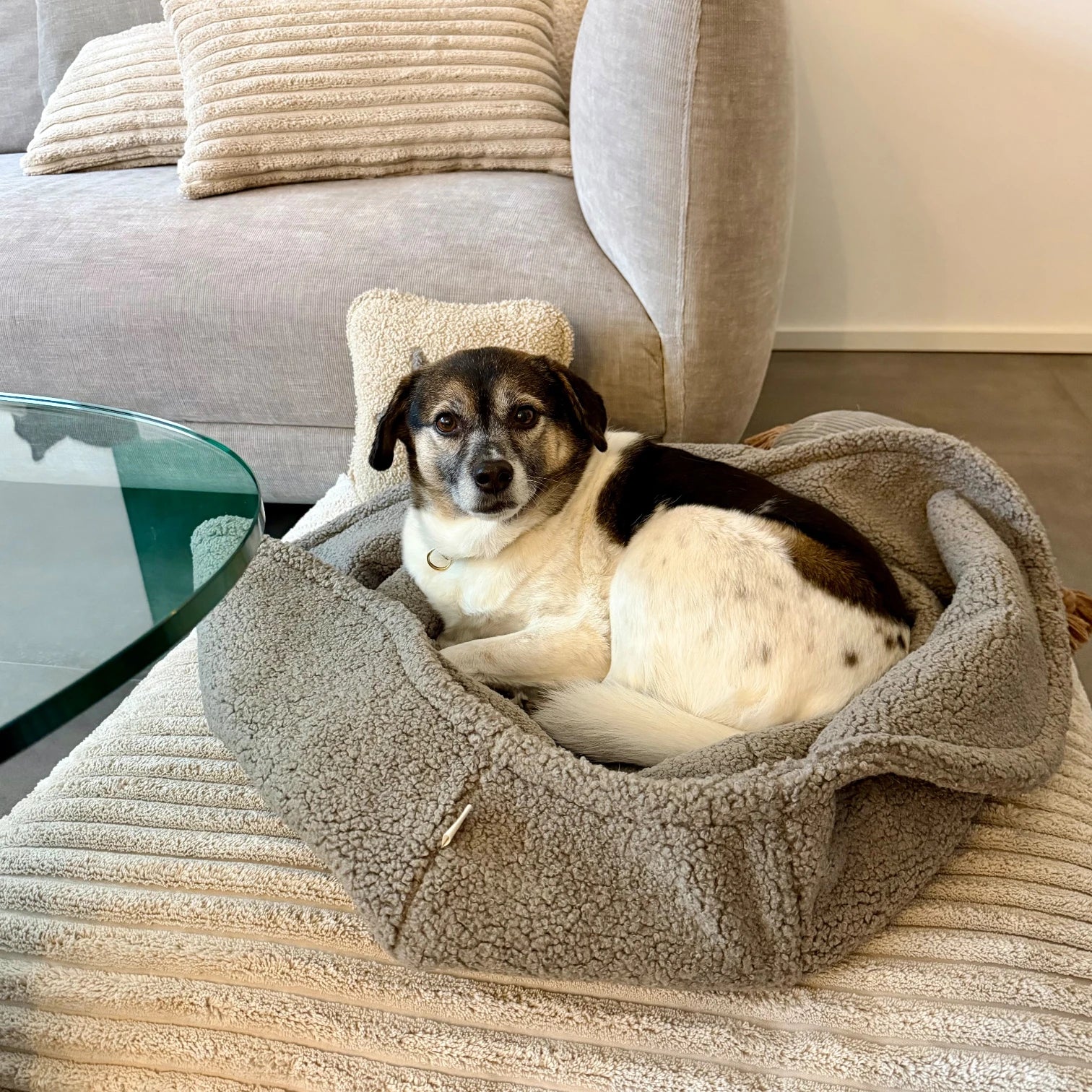 Hundeschlafsack Omu | Cuddly Teddy