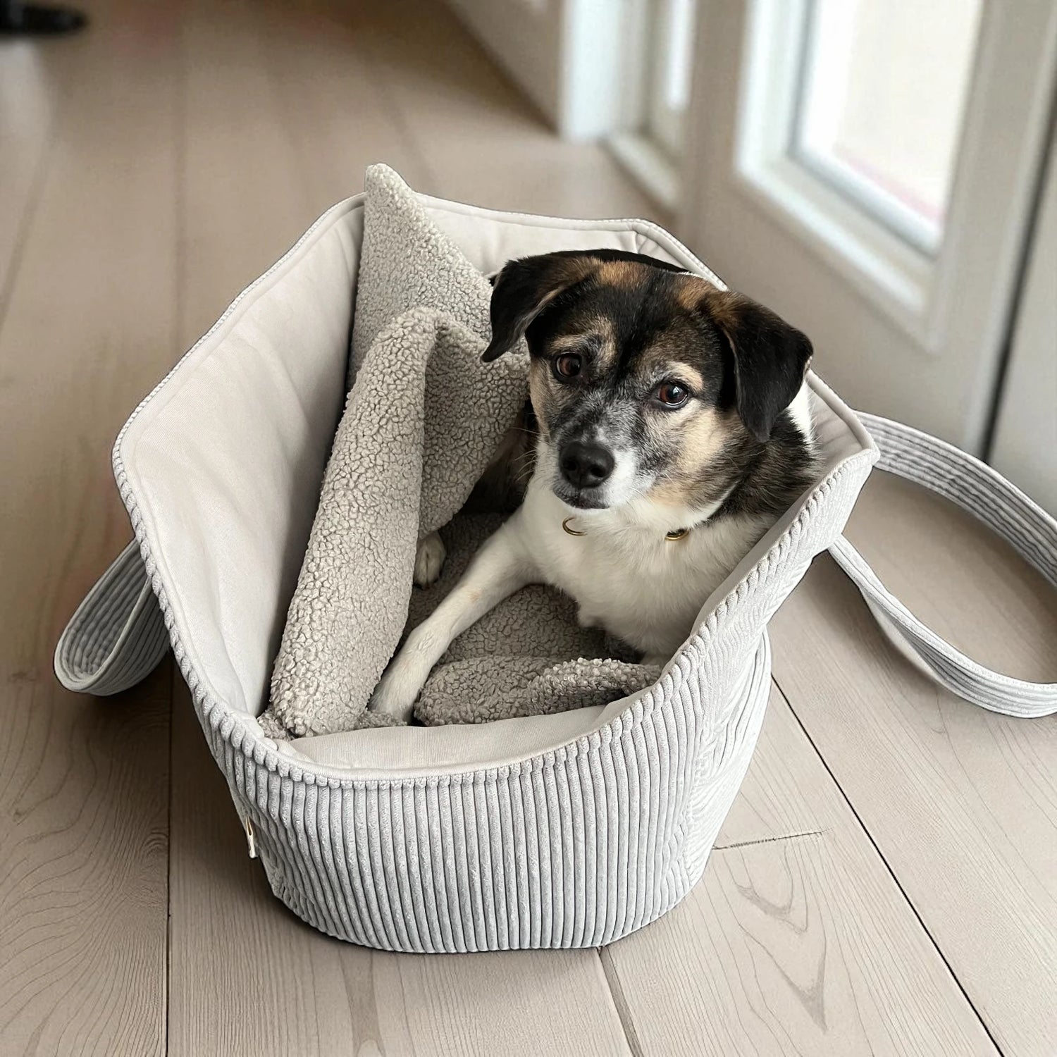 Kleiner Hund sitzt gemütlich in einer hellgrauen Hundetasche mit weicher Inneneinlage auf hellem Holzboden – tragbare Hundetasche für Hunde bis 9 kg
