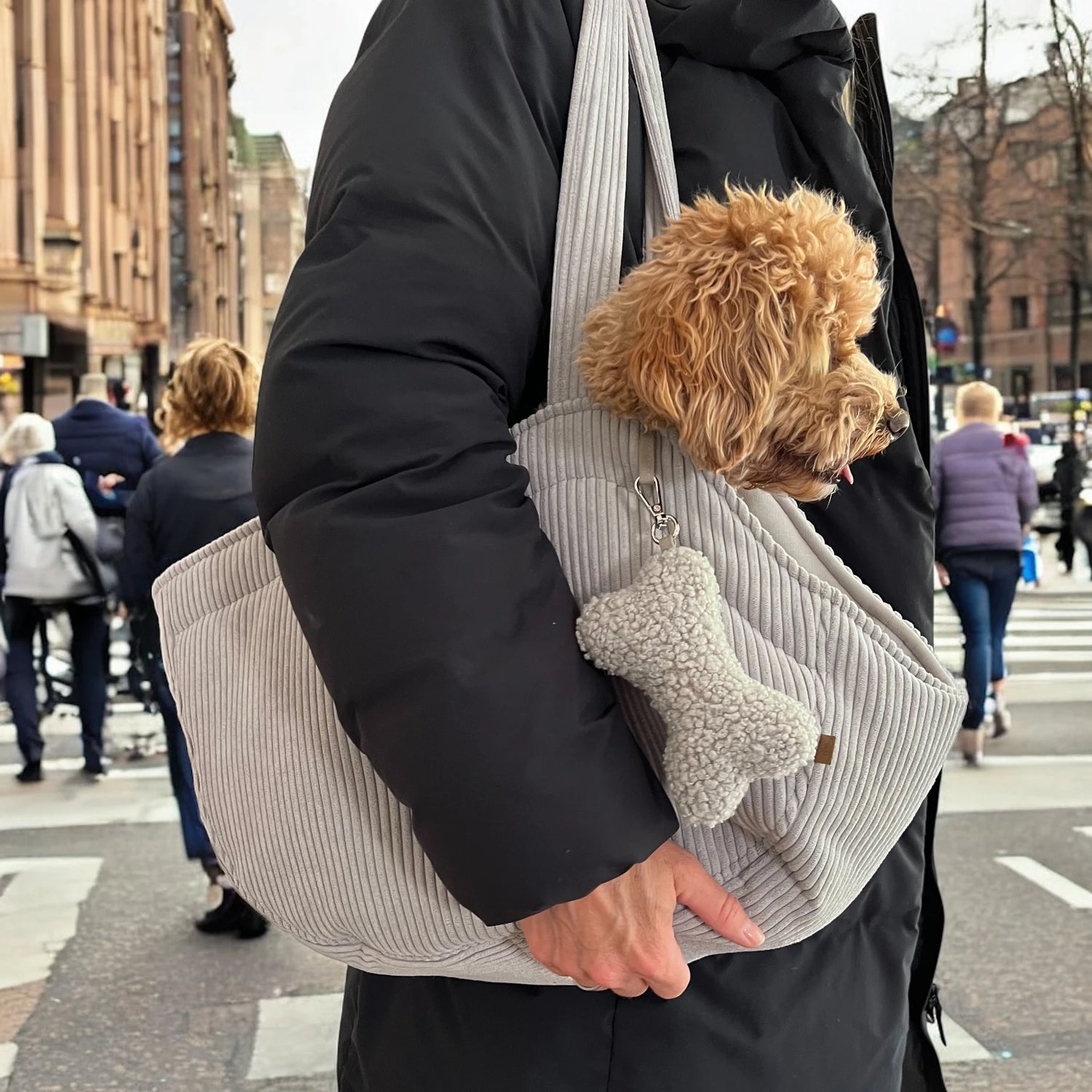Pudel in hellgrauer halbrunder Hundetragetasche sitzend wird von Person getragen