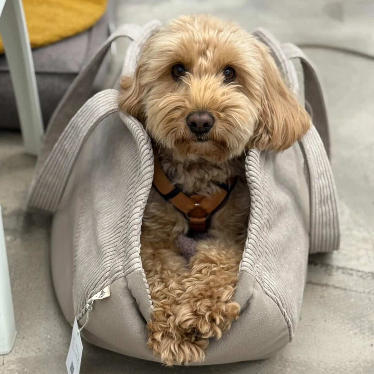 Hundetaschenkörbchen Oki | Beige | S - L