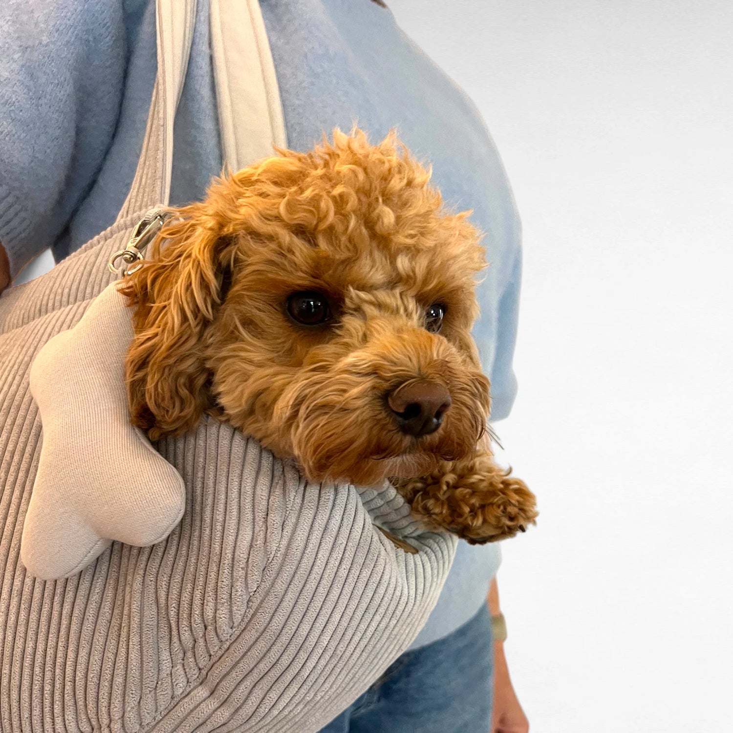 Kleiner Hund liegt in Hundetransporttasche aus hellgrauem Cord und wird von Person über der Schulter getragen