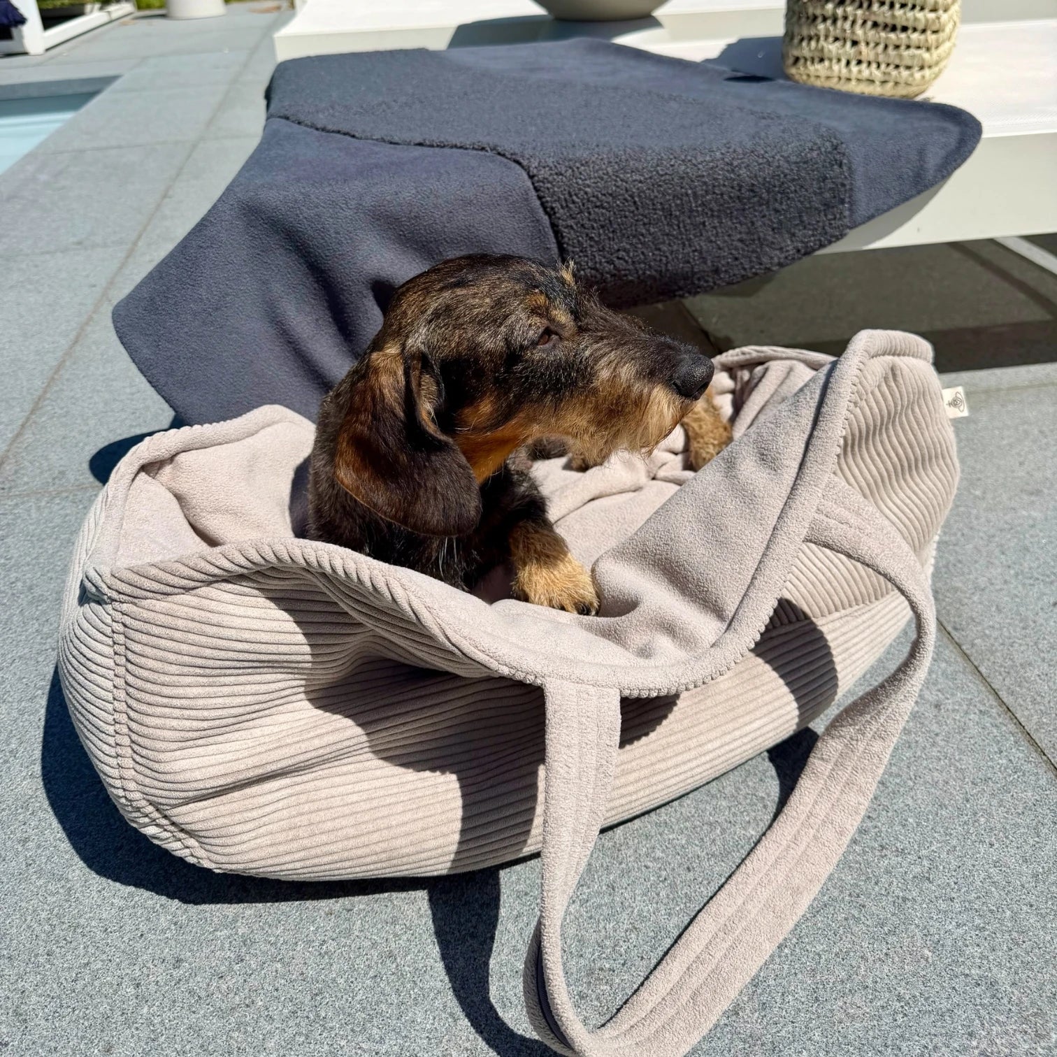 Hundetaschenkörbchen Oka | Beige | Sommer Edition