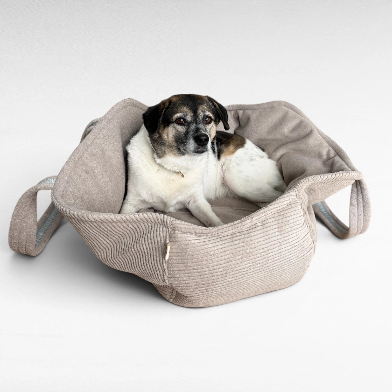 Hundetaschenkörbchen Oka | Beige | Sommer Edition