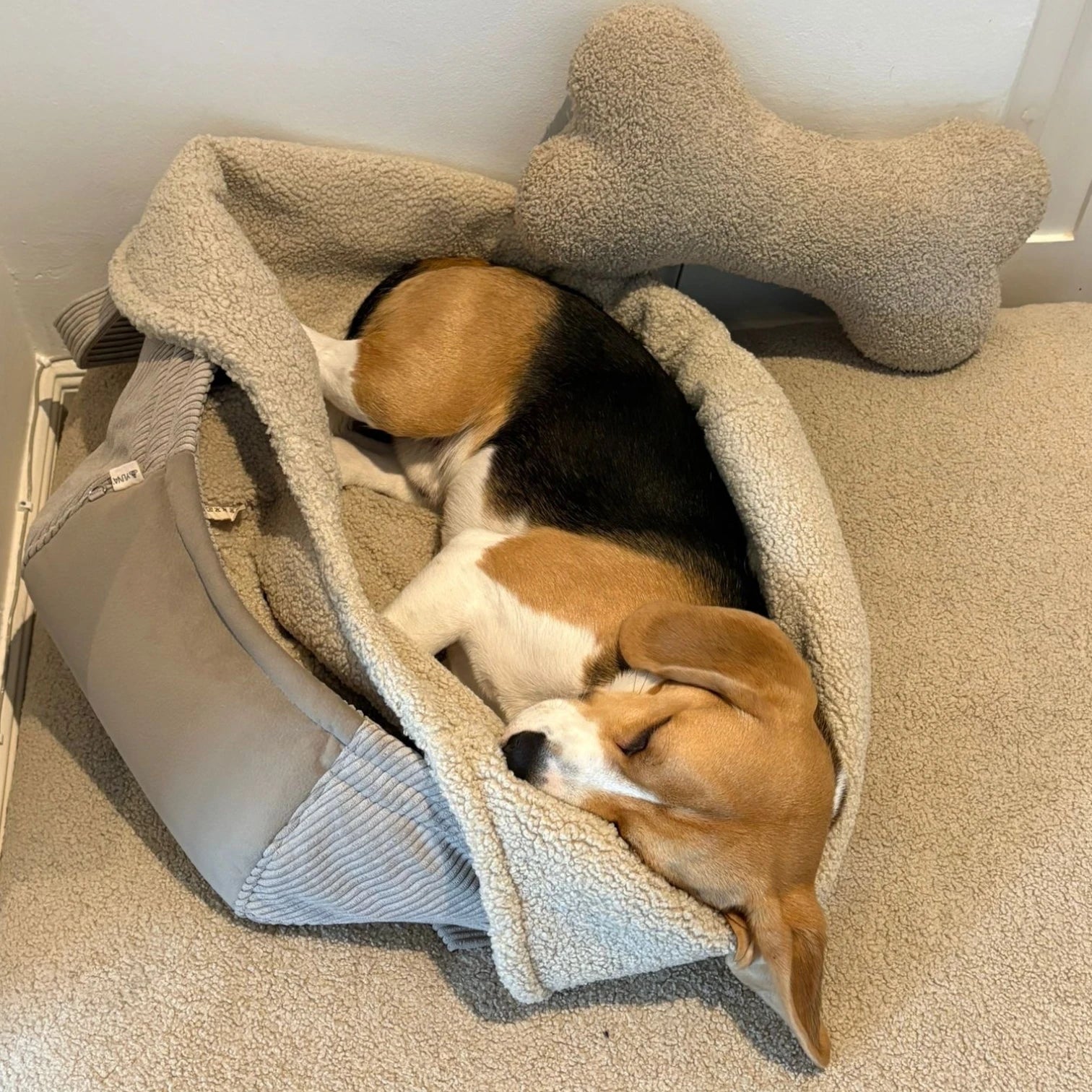 Hundetaschenkörbchen Oki | Beige | S - L