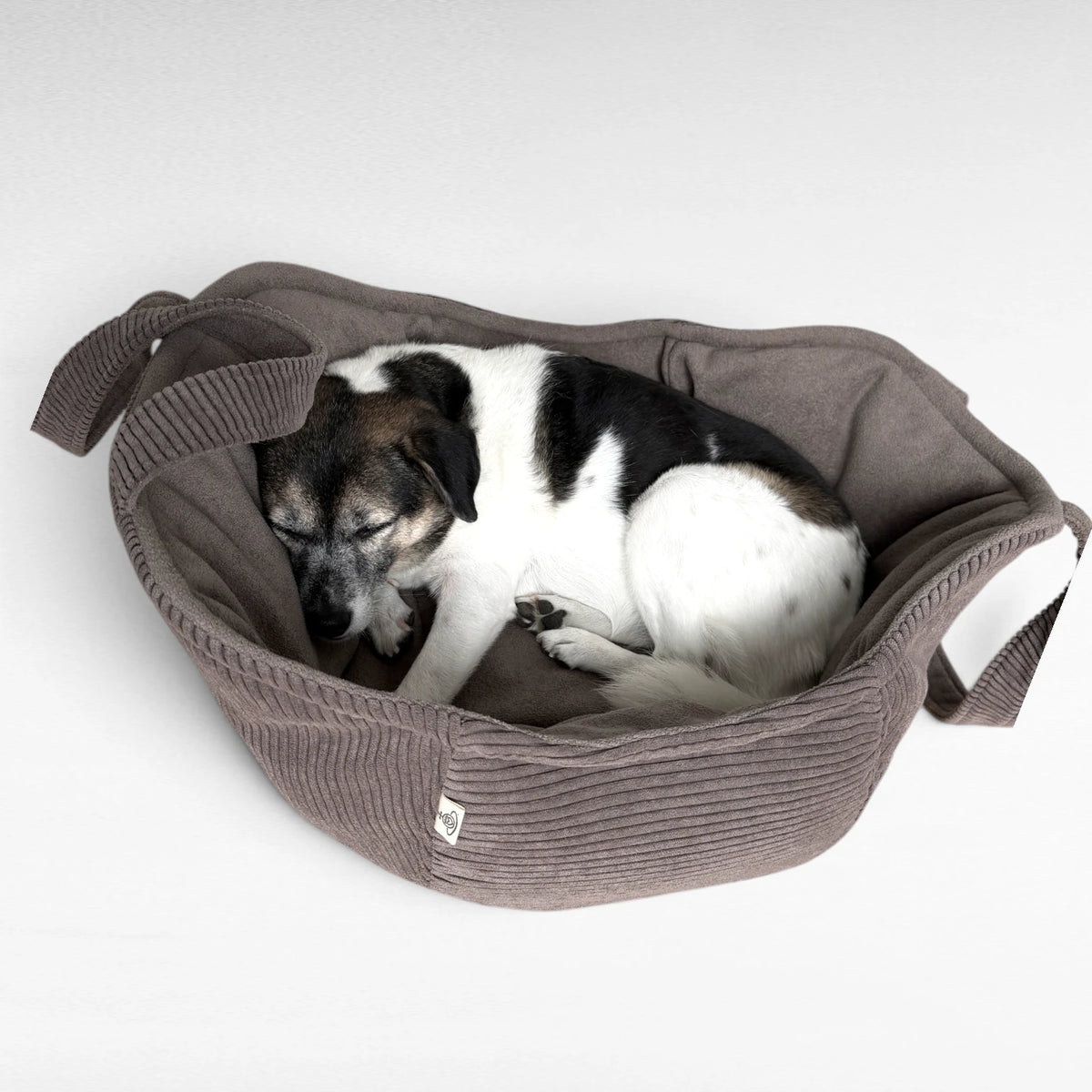 Hundetaschenkörbchen Oko aussen Cordstoff und innen softer Terry Velours in Farbe taupe mit schwarz weißem Hund schlafend darin liegend