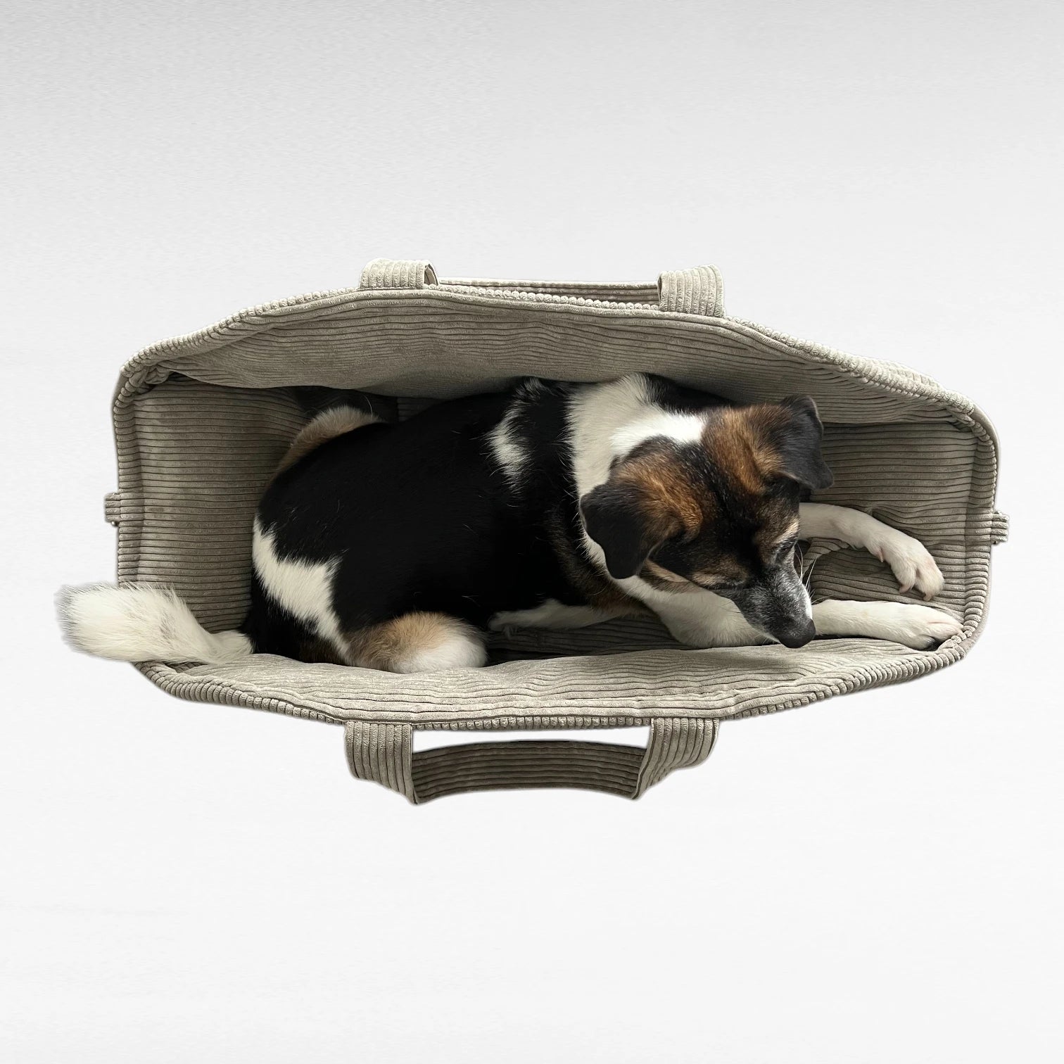 Hundetaschenkörbchen Oki | Taupe