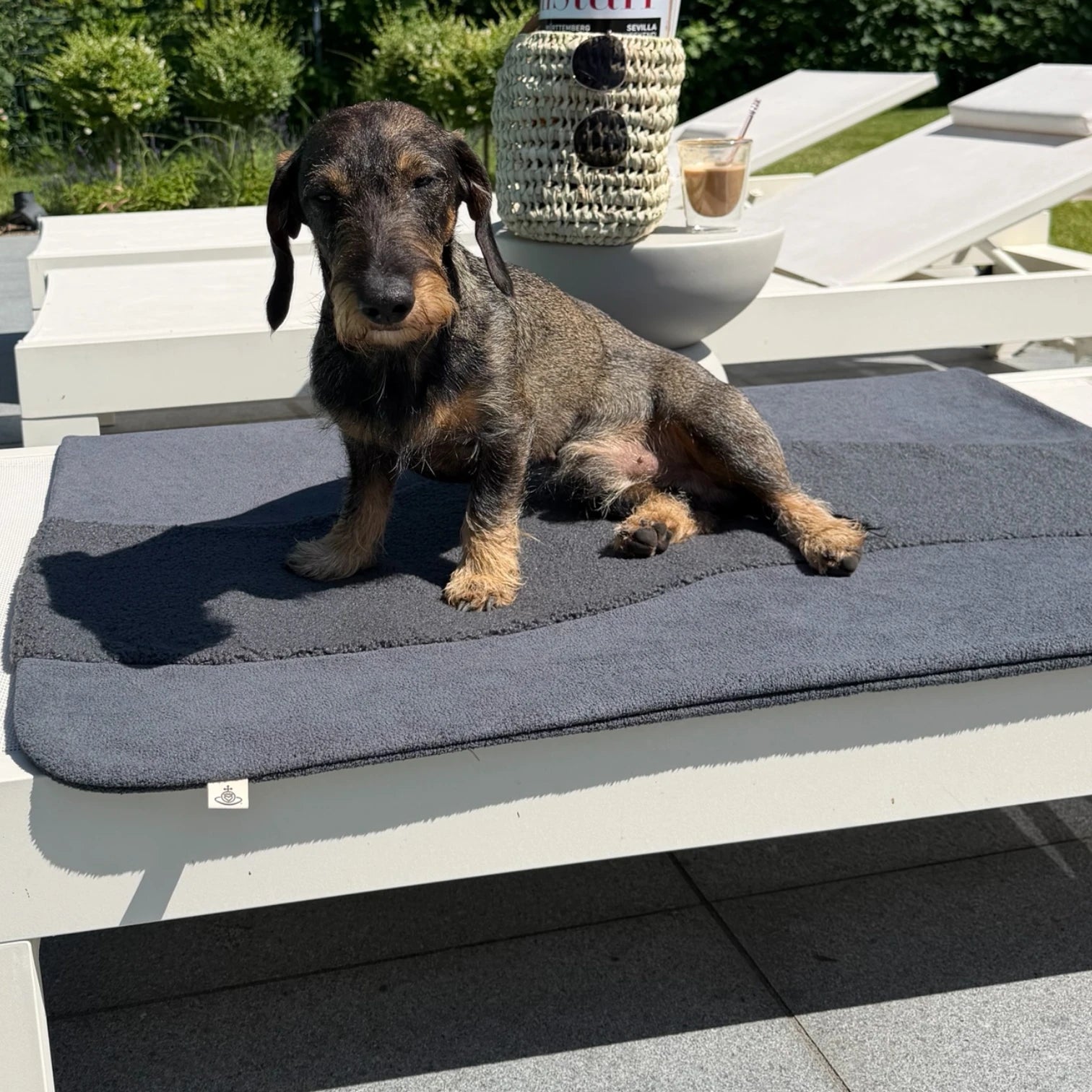 Hundedecke Oto | Hellgrau
