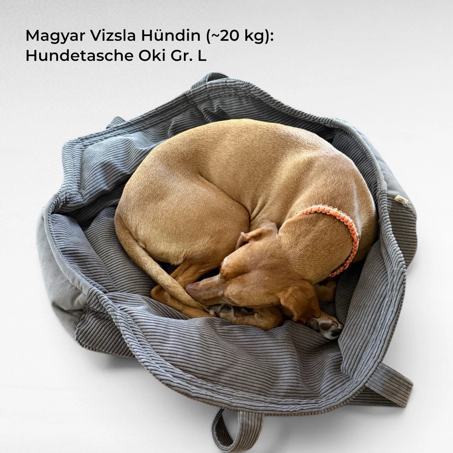 Hundetaschenkörbchen Oki | Beige | S - L