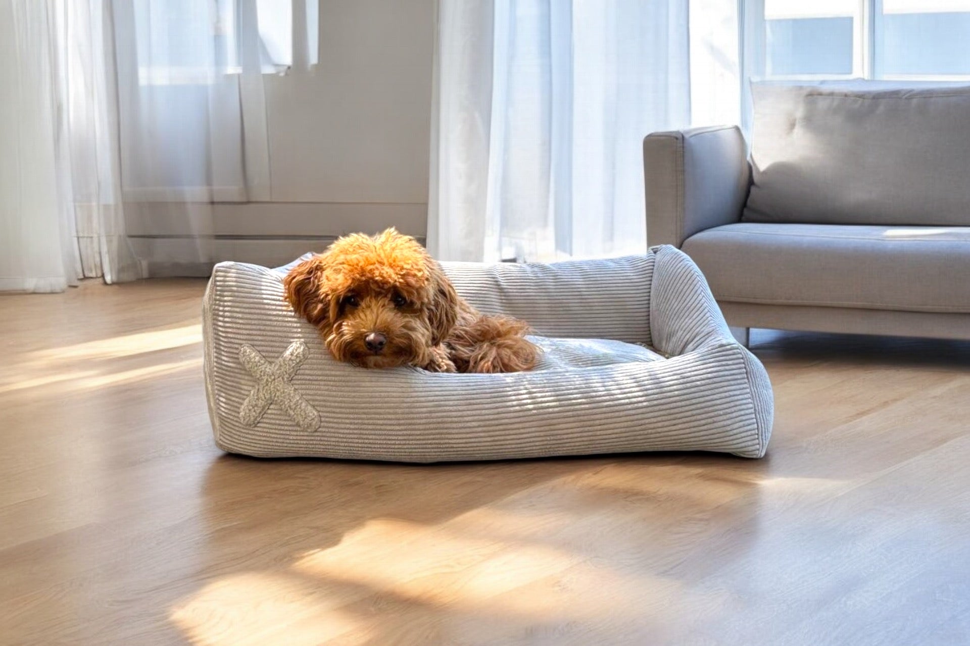 Boxbett für Hunde mit grauem Cordbezug und Hund 