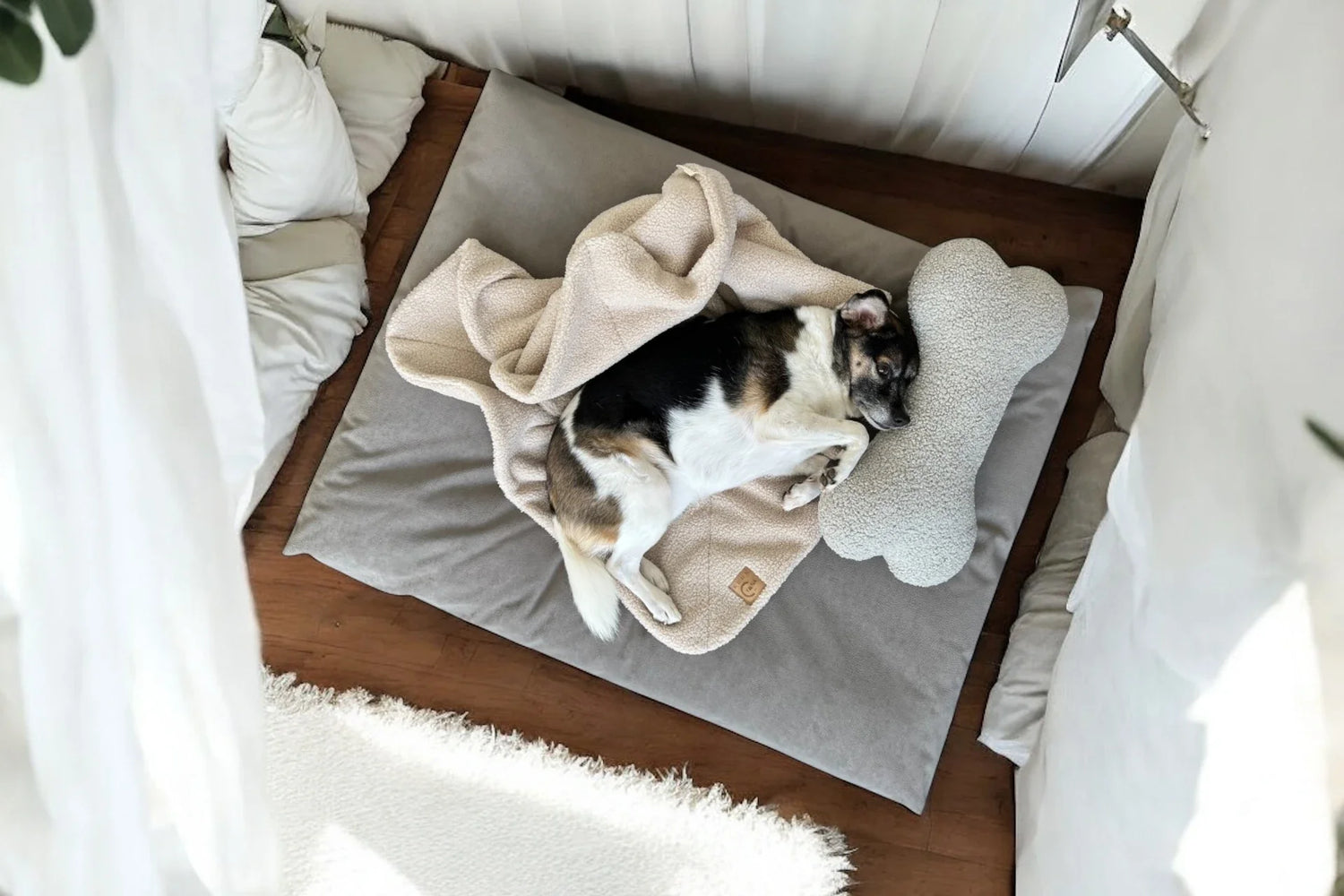 Hundekissen und /-matratzen