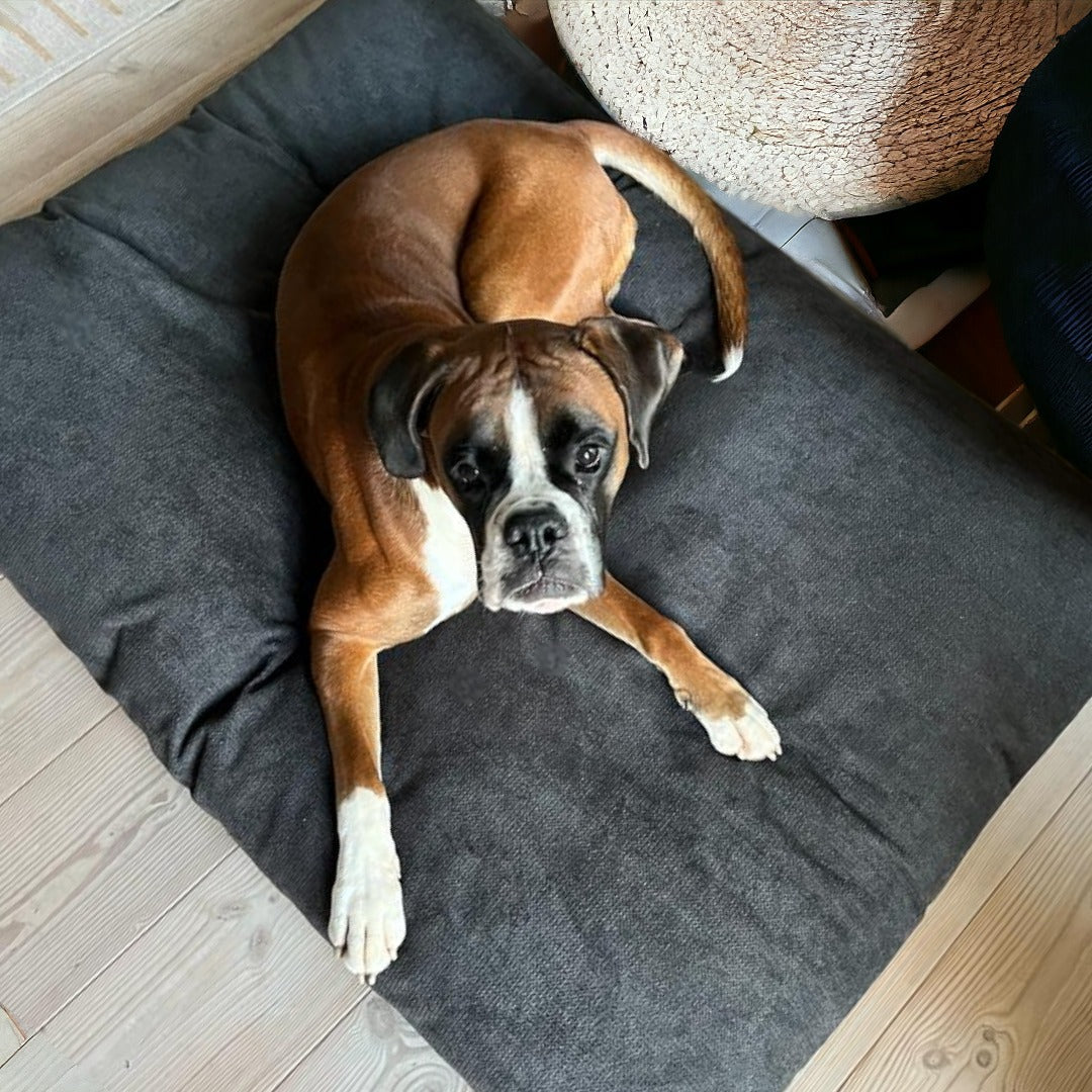 Wechselbezug Comfy für Hundekissen / Homey Chenille (rPET)