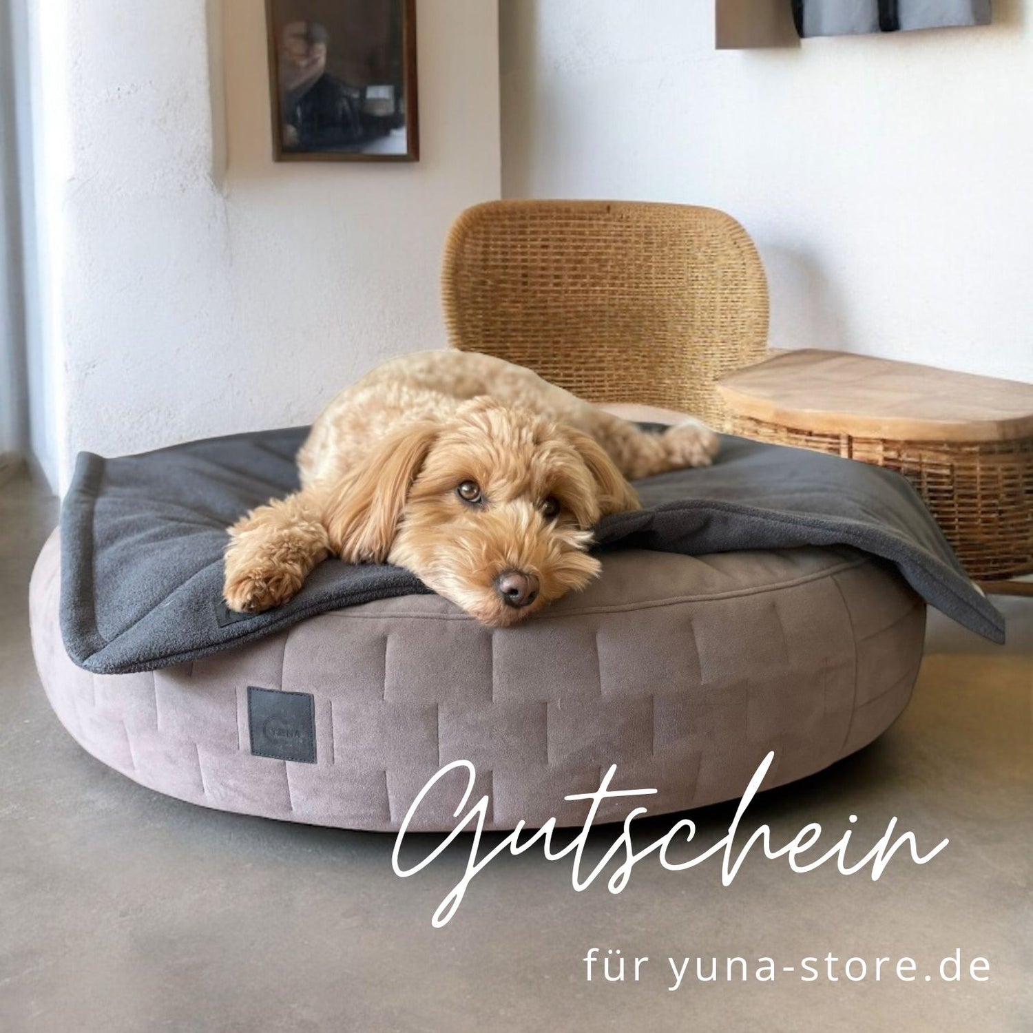 YUNA House of Pets | Geschenkgutschein