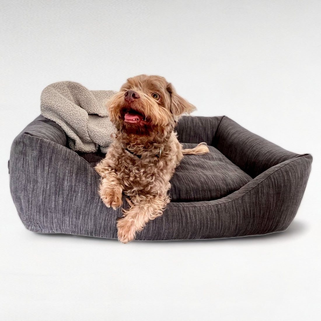 Hundebett Ema | Baumwollbezug Cottolino Deluxe