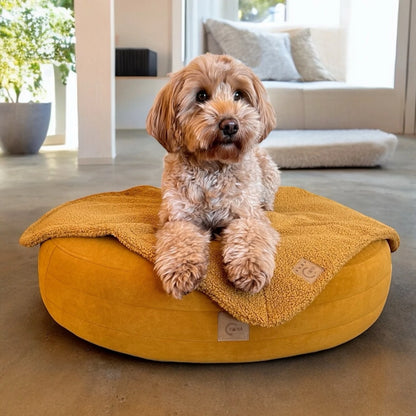 Doodle Hund liegt auf safranfarbenen runden Hundebett Yumi mit rundherum laufenden Steppungen und Yuna Label mit minimalistischem Hintergrund