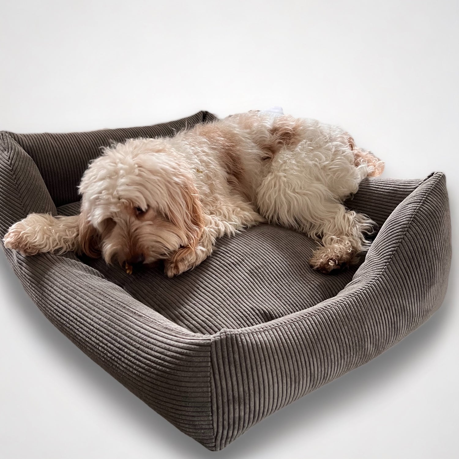 Wechselbezug Hundebett Gin | Comfy Corduroy