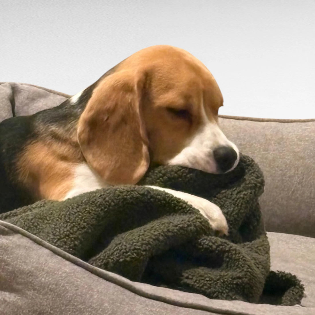 Schnuffeltuch Sana | Cuddly Teddy