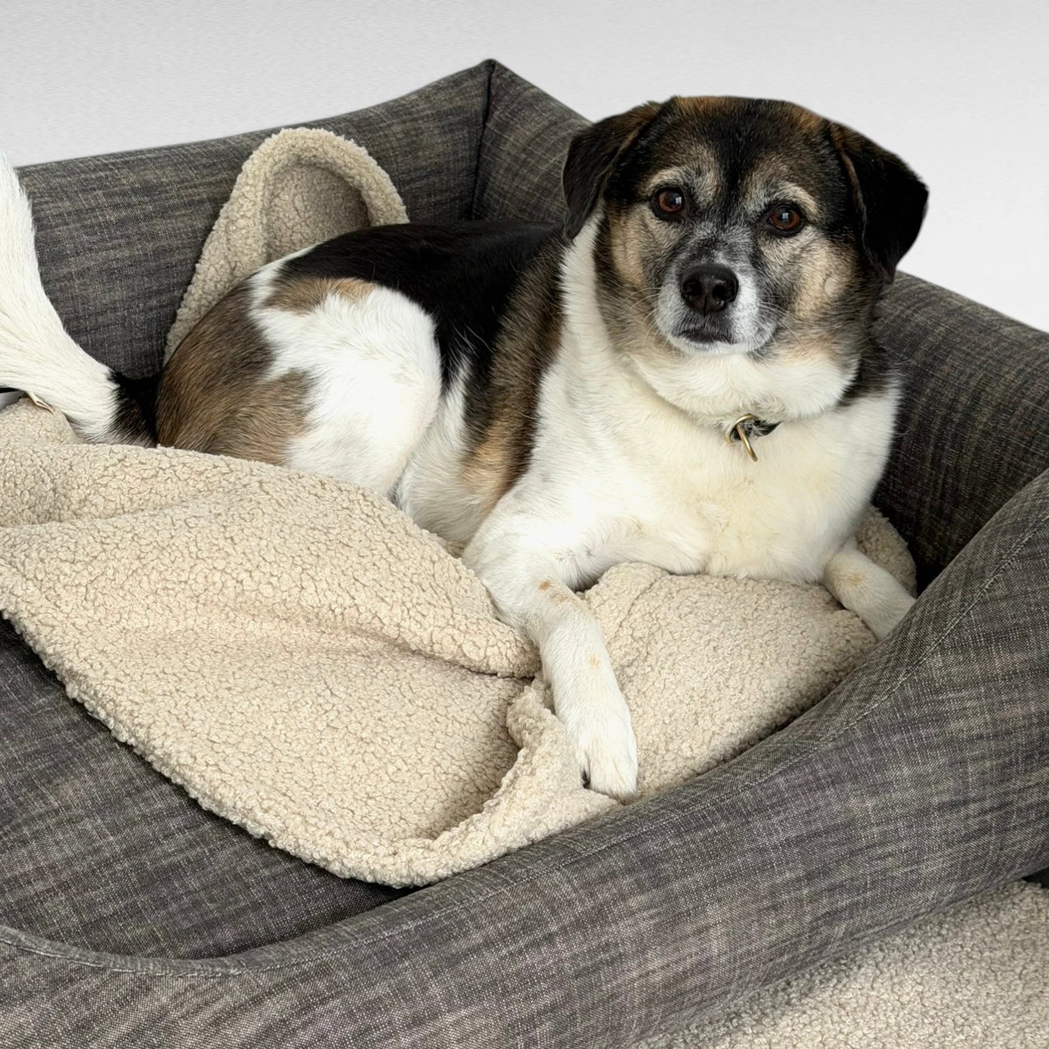 Hundebett Ema | Einzelstück | Gr. M