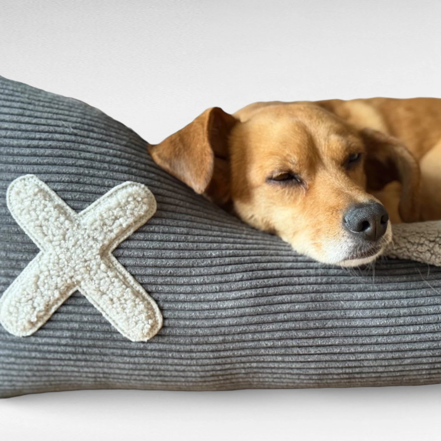 Hundebett Gin | Comfy Corduroy