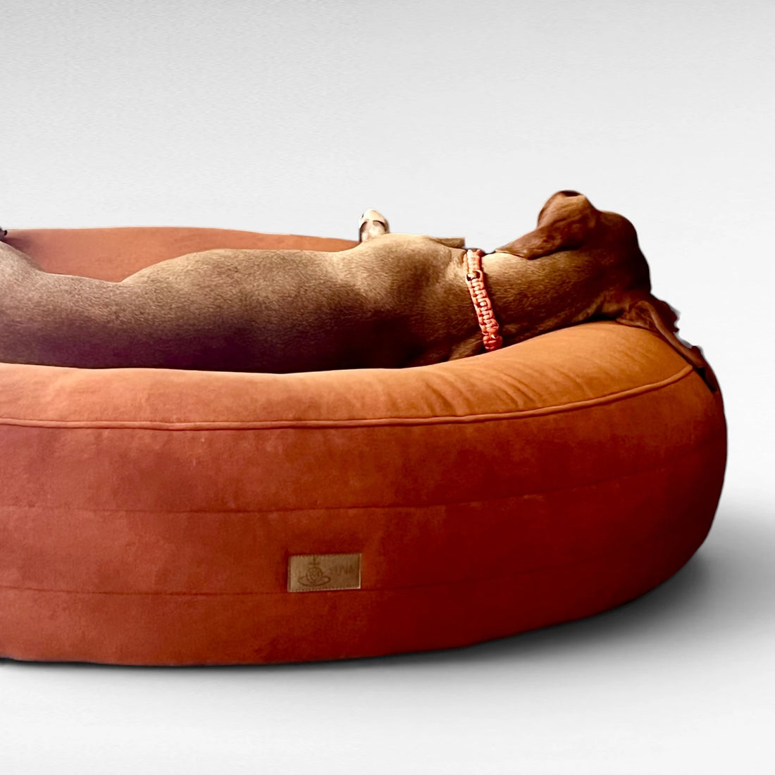 Design Hundebett Yumi | Cozy Velours
