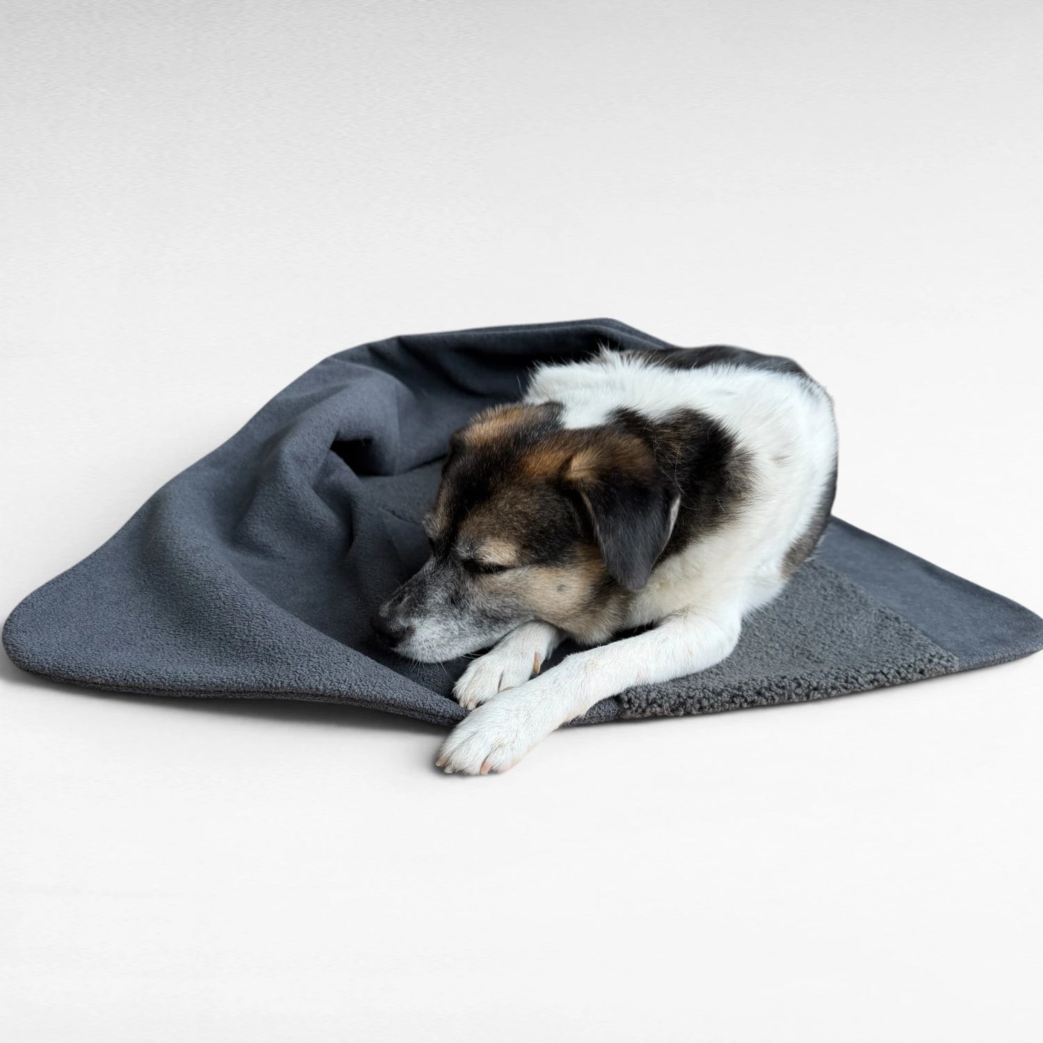 Hundedecke Oto | Anthrazit