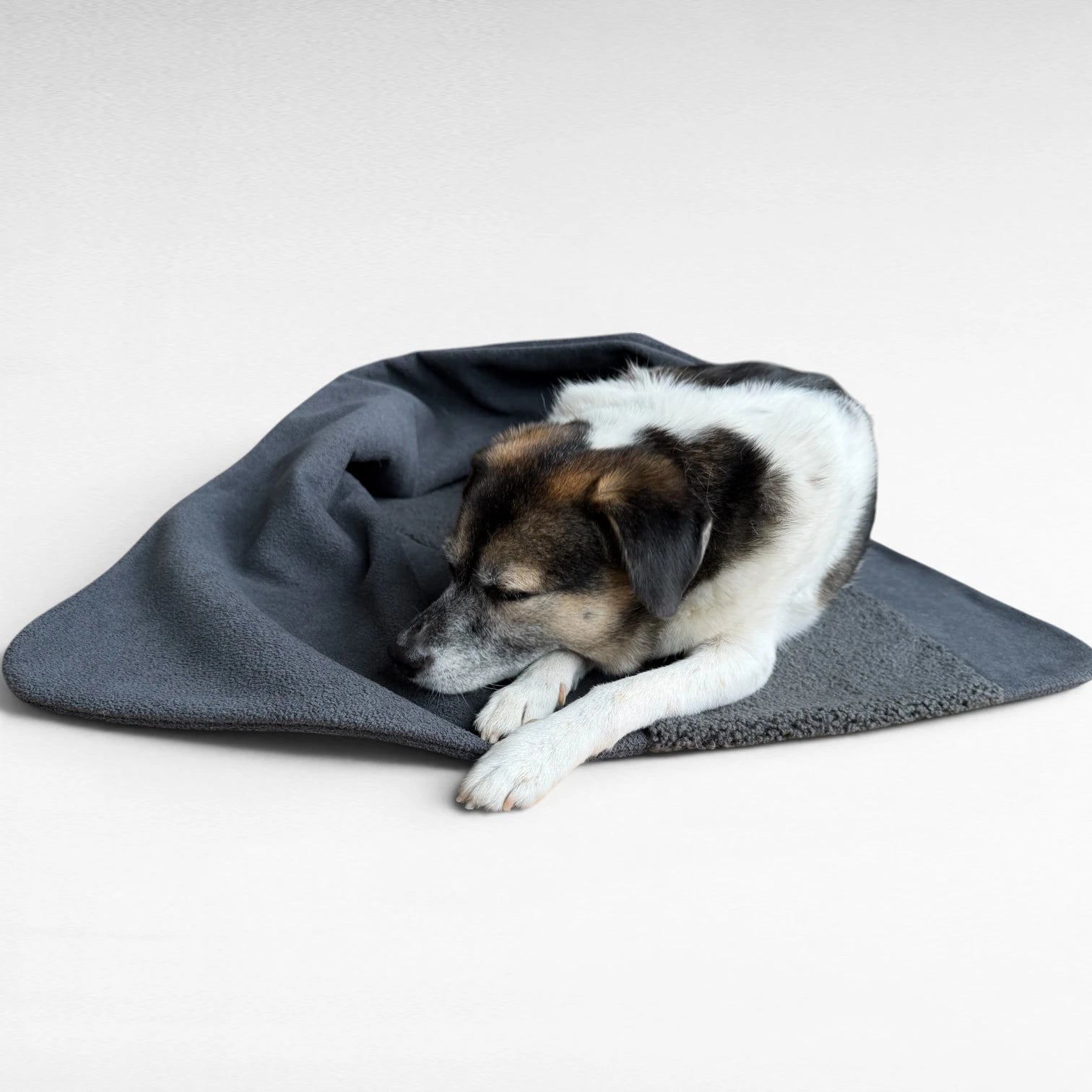 Hundedecke Oto | Anthrazit