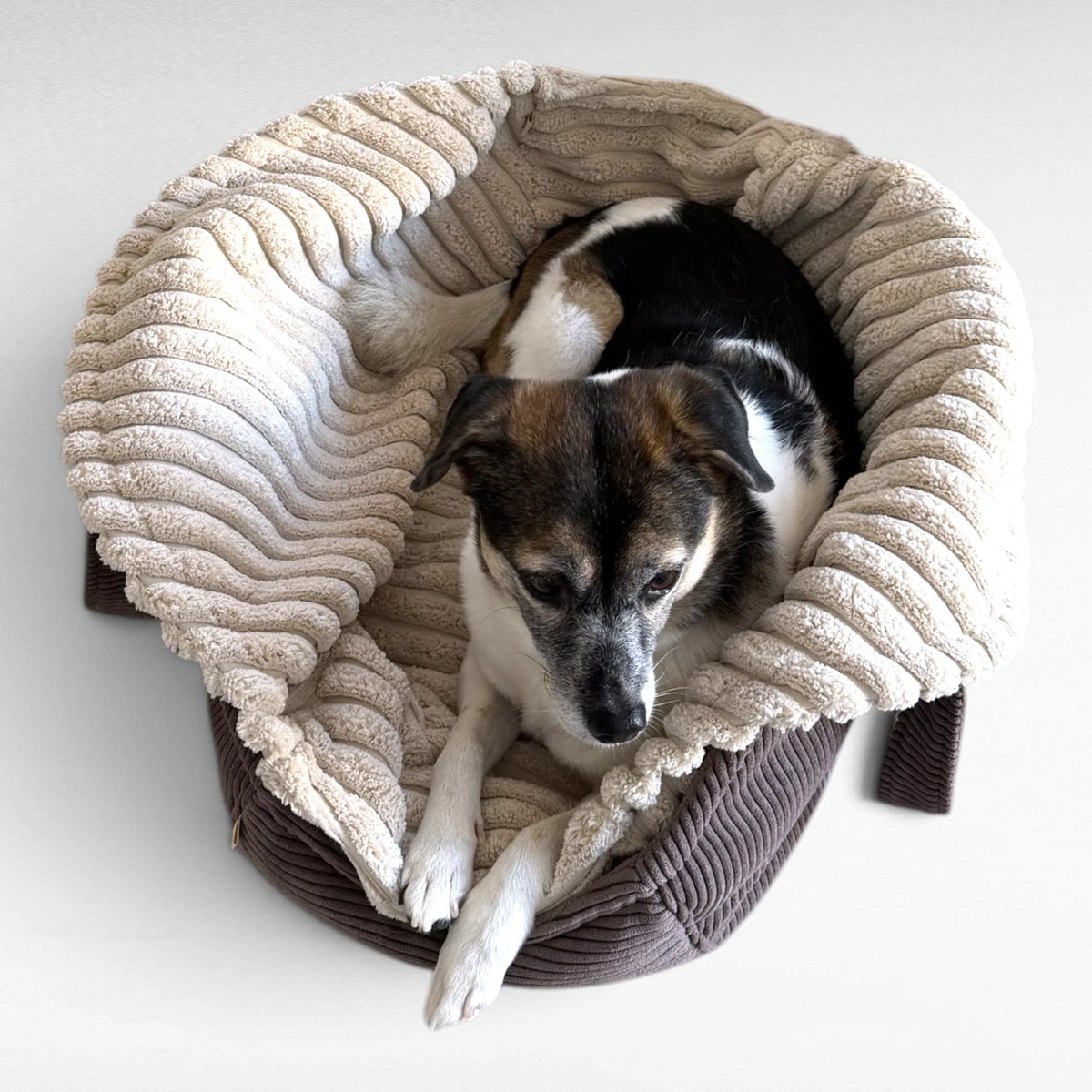 Hundeschlafsack Omo | Soft Maxi Cord | Beige