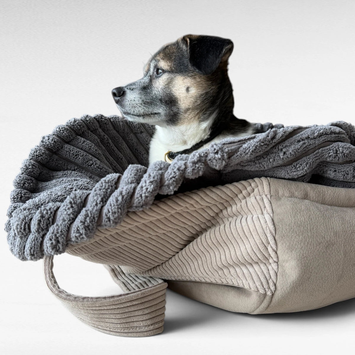 Hundeschlafsack Omo | Soft Maxi Cord | Grau