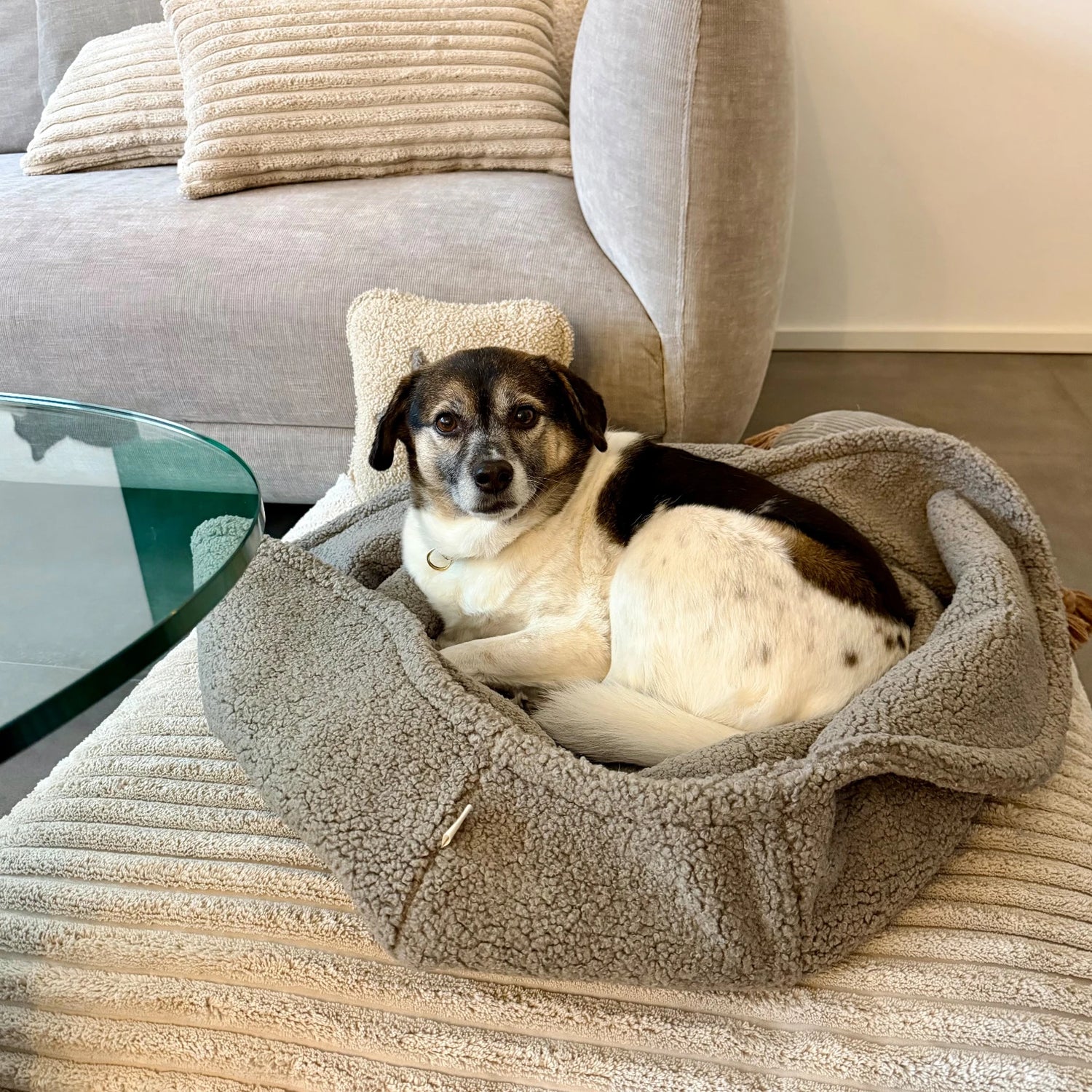 schlafsack für hunde Hundeschlafsack Omu – wendbarer Hundeschlafsack aus Bouclé Teddy – YUNA