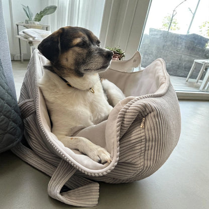 Kleiner Hund liegt gemütlich in einer hellgrauen Hundetasche aus Cord mit hellgrauem Innenfutter, ideal als Transporttasche und Körbchen auf Reisen für Haustiere.