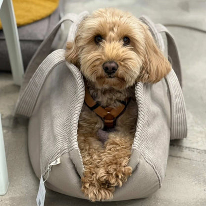 Hundetaschenkörbchen Oki | Beige | S - L