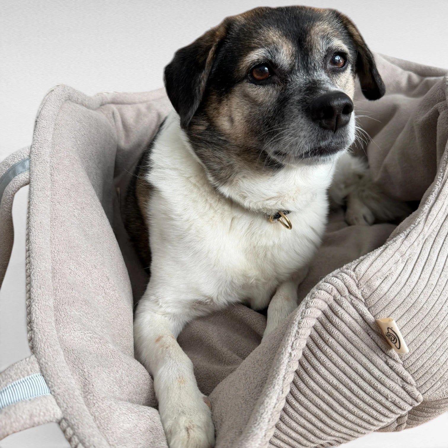 Hundetaschenkörbchen Oka | Beige | Sommer Edition