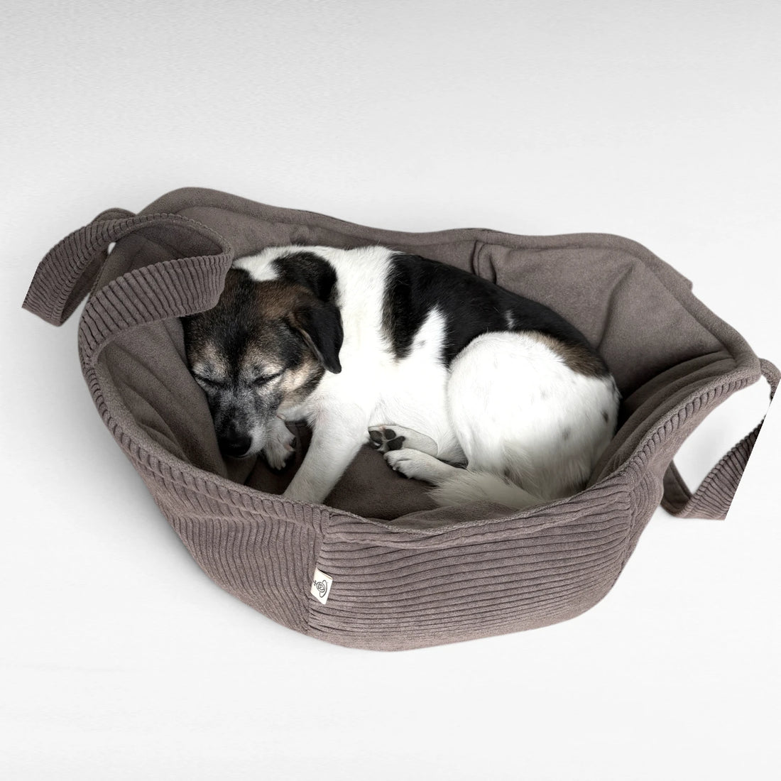 Hundetaschenkörbchen Oko aussen Cordstoff und innen softer Terry Velours in Farbe taupe mit schwarz weißem Hund schlafend darin liegend