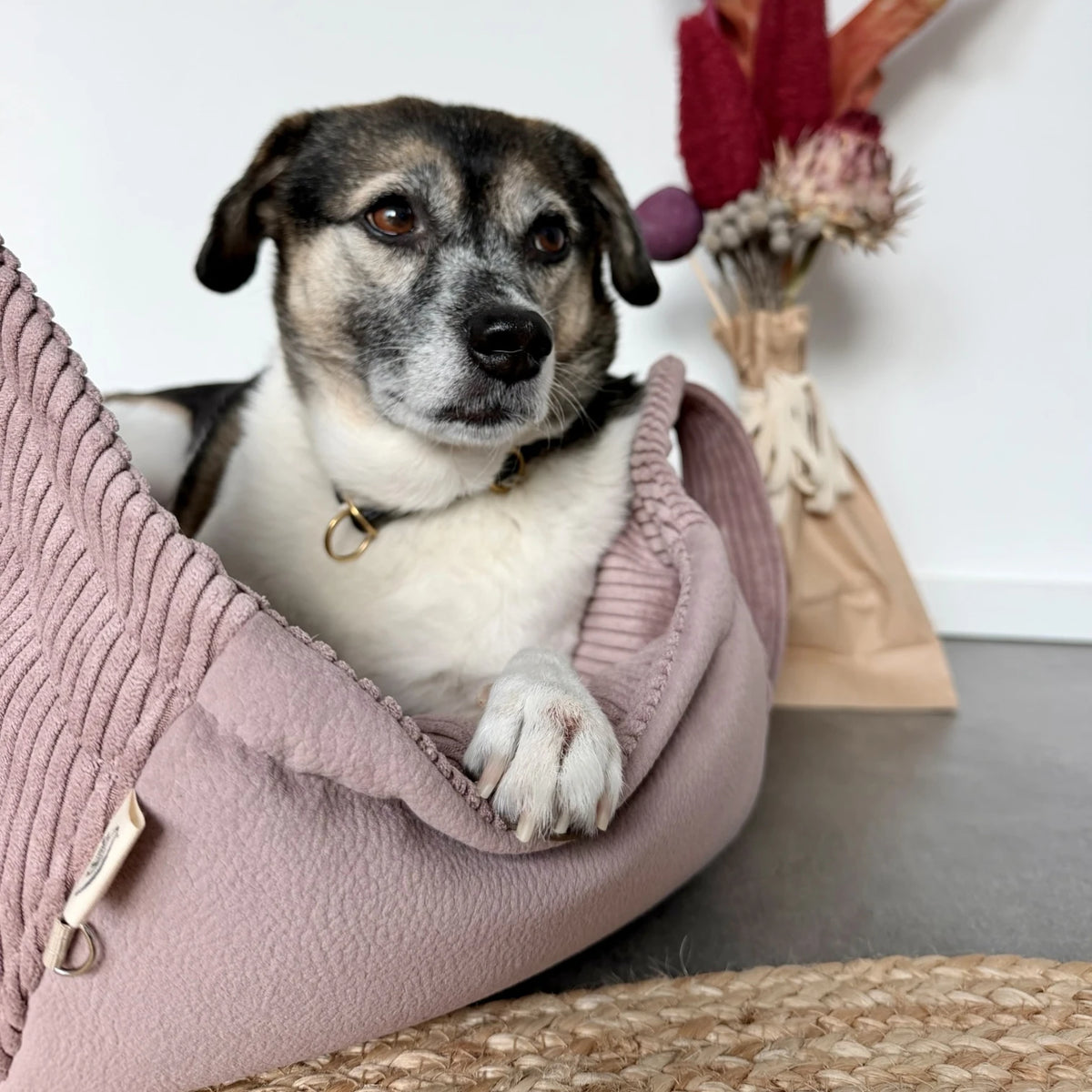 Kleiner schwarz-weißer Hund in rosafarbenem Hundetaschenkörbchen Oki liegend