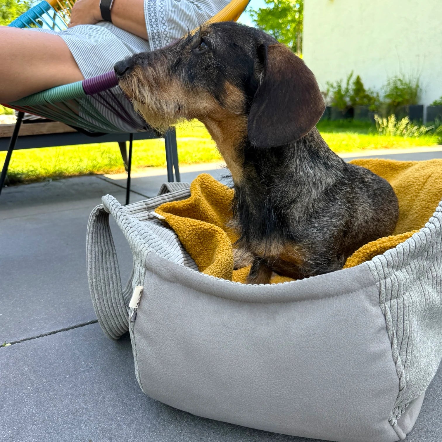 Hundetaschenkörbchen Oki | Light Oliv | S - L
