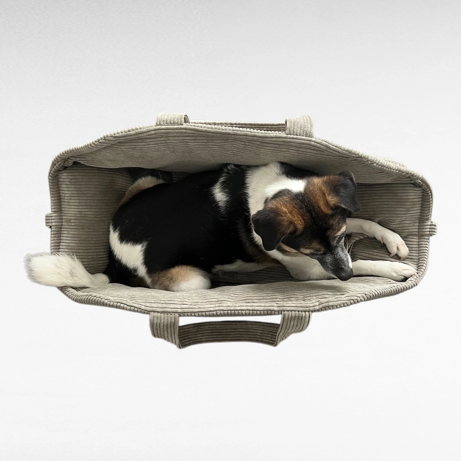 Hundetaschenkörbchen Oki | Taupe