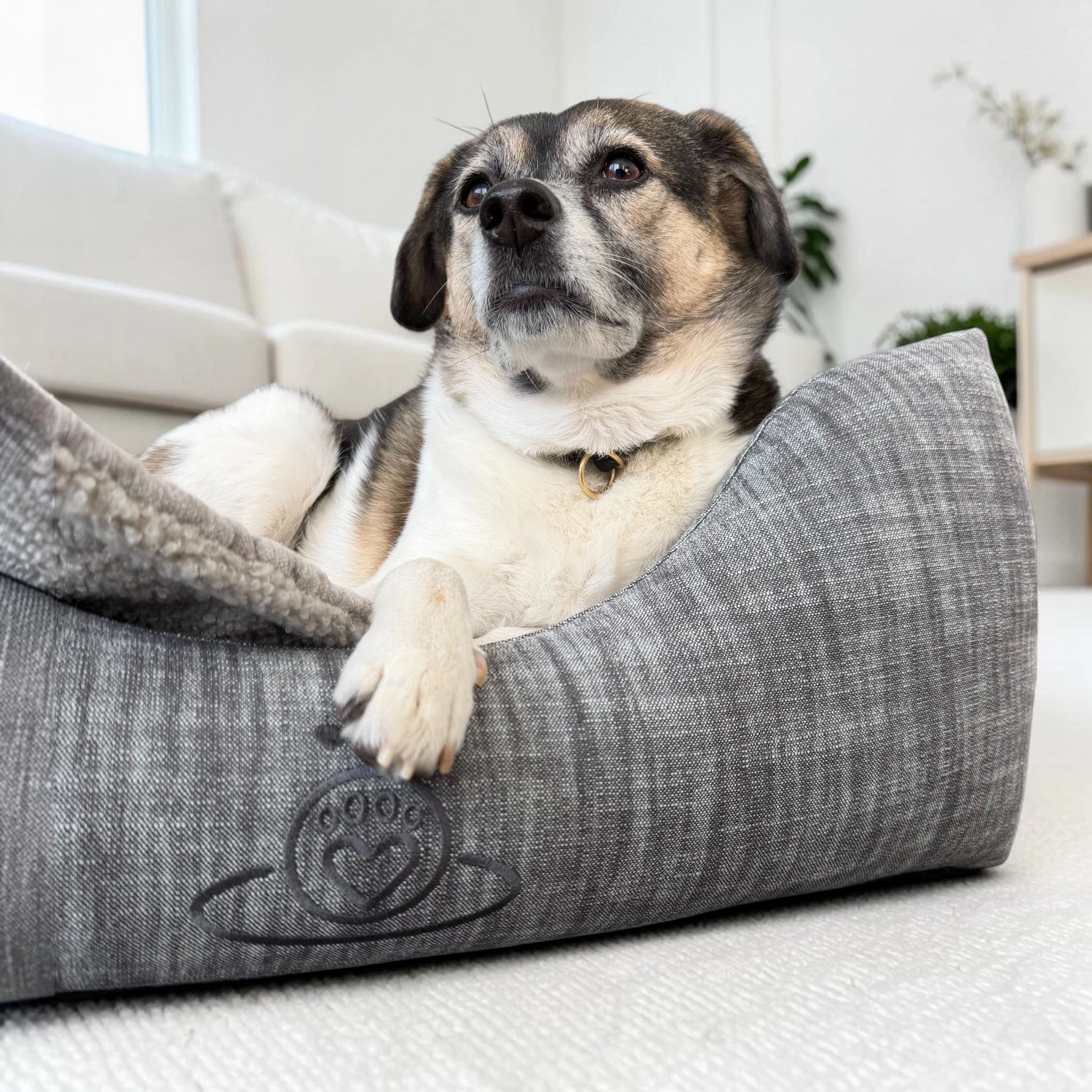 Hundebett Ema | Cozy Cotton Stickerei
