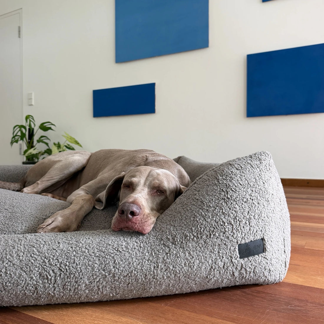 Hundebett Ema | Cuddly Teddy