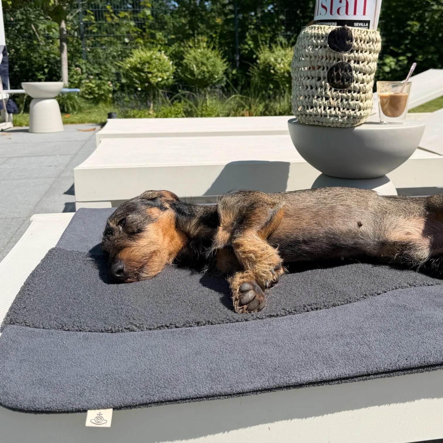 Hundedecke Oto | Hellgrau